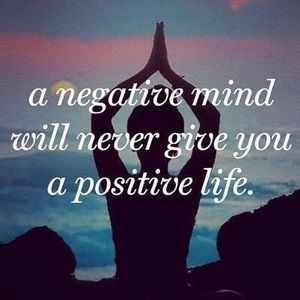 Meet your Posher, Ann